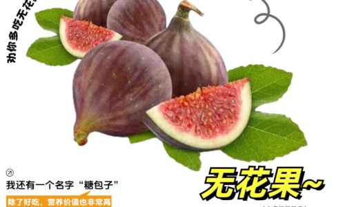 无极膏的功能-无极膏主治什么网-分享无极膏的功效和用法，无极膏主治什么病知识库