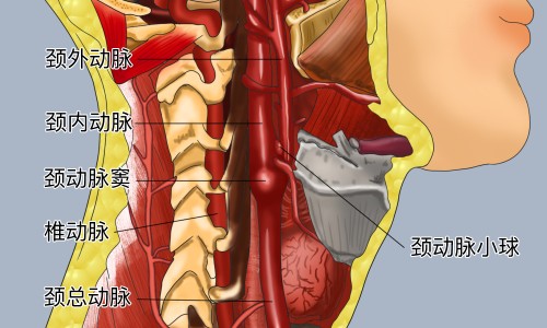 无极膏的功效和用法-无极膏主治什么网-分享无极膏的功效和用法，无极膏主治什么病知识库