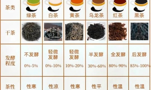 无极膏主治什么皮肤病-无极膏主治什么网-分享无极膏的功效和用法，无极膏主治什么病知识库